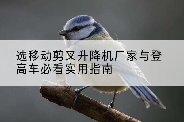 盘山电动升降机厂家-选移动剪叉升降机厂家与登高车必看实用指南