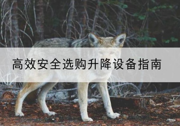盘山升降货梯厂家推荐-*安全选购升降设备指南