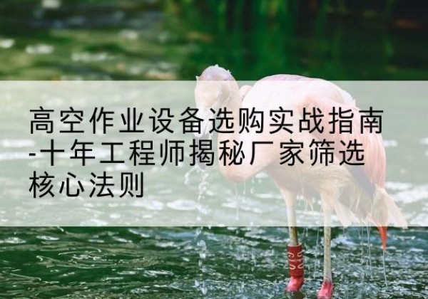 盘山剪叉式升降机厂家-高空作业设备选购实战指南-十年工程师揭秘厂家筛选核心法则